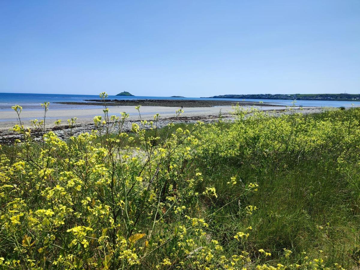 Ashlee Lodge, Shanagarry P25K6R6 Near Ballymaloe House & Garryvoe Hotel Екстериор снимка
